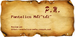 Pantelics Máté névjegykártya